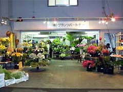 世田谷店写真